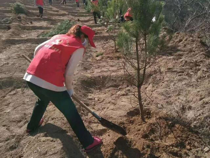 1585844128763316.jpg 10.jpg