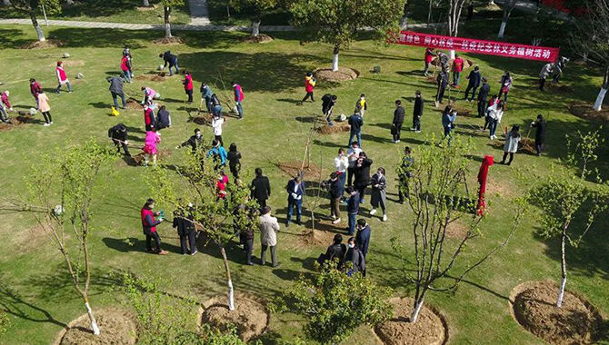 1585844443610255.jpg 1.jpg