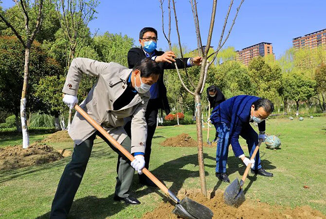 1585844455992850.jpg 3.jpg