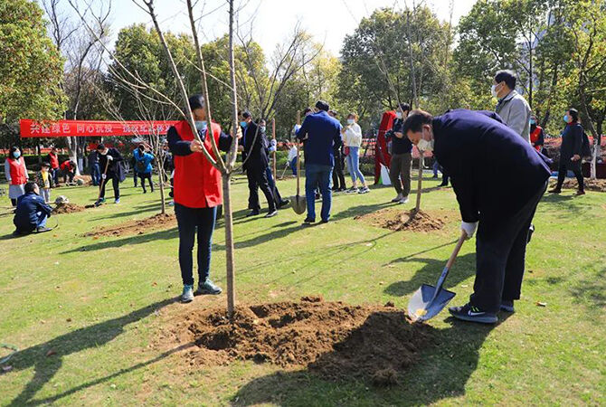 1585844461313569.jpg 4.jpg