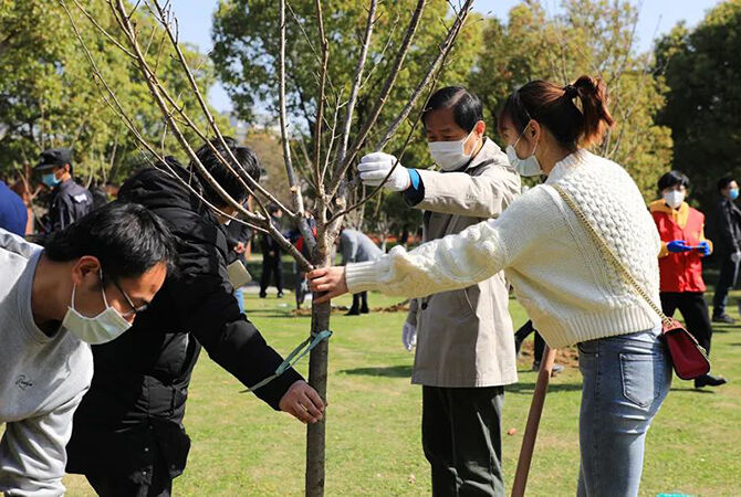 1585844466315512.jpg 5.jpg