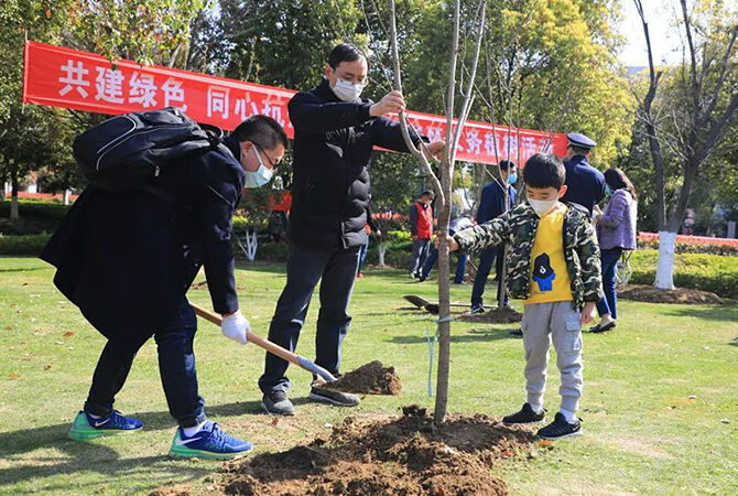 1585844471535381.jpg 6.jpg