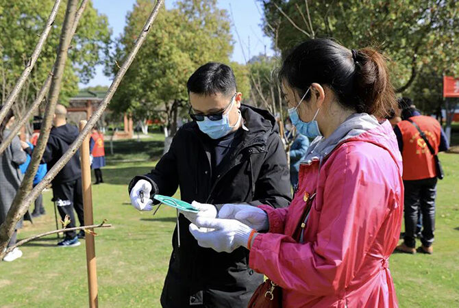 1585844477125983.jpg 7.jpg