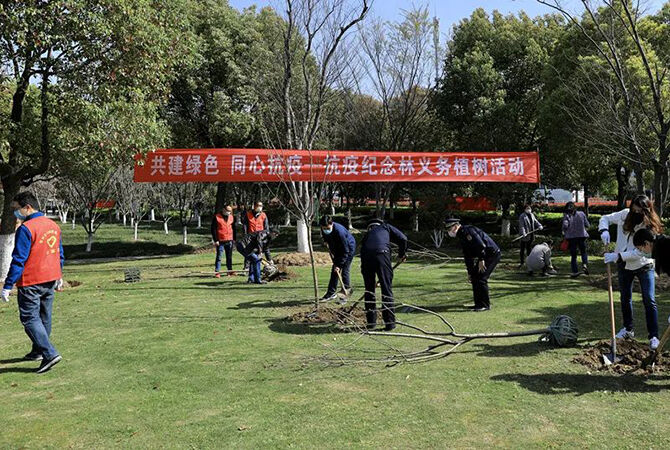 1585844496176652.jpg 8.jpg