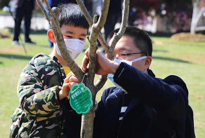 1585844514341941.jpg 9.jpg