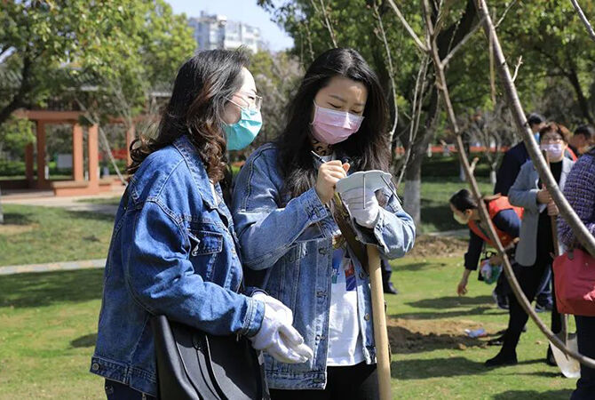 1585844531200646.jpg 10.jpg