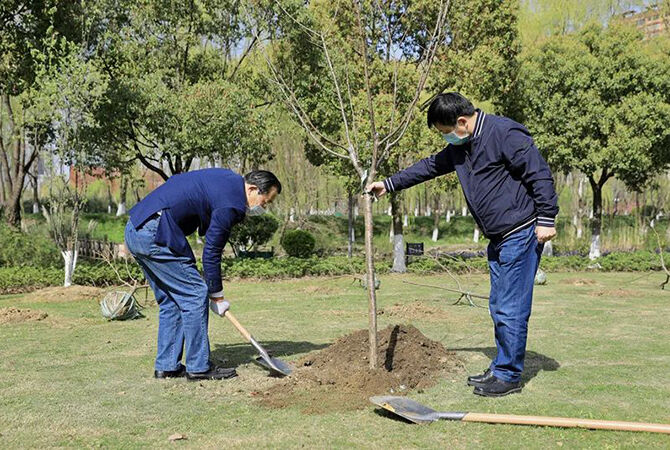 1585844557501461.jpg 11.jpg