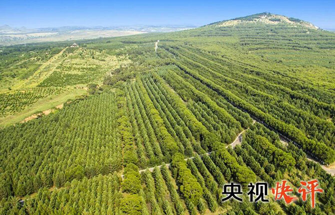 1586394533676966.jpg 3.jpg