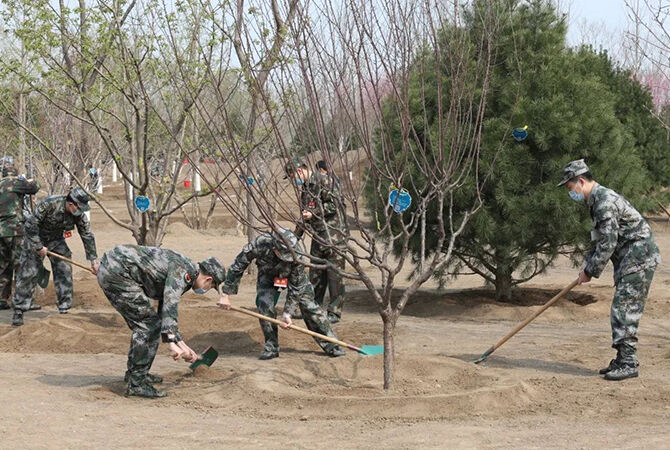 1587000524273375.jpg 1.jpg