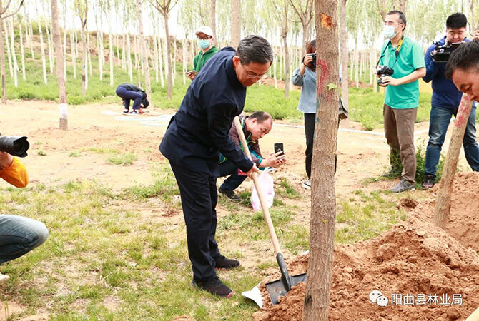 1589338320563041.jpg 6.jpg