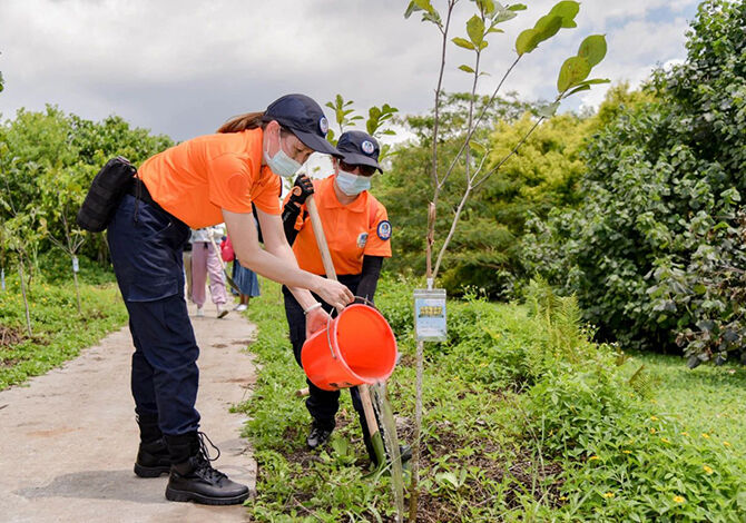 1593526739599060.jpg 6.jpg