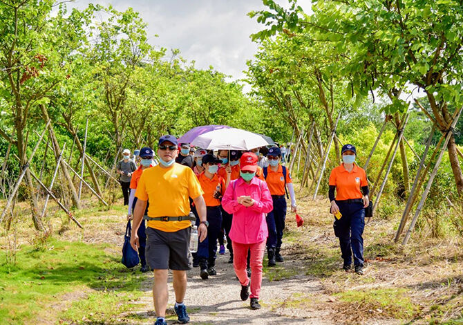 1593526761672370.jpg 9.jpg