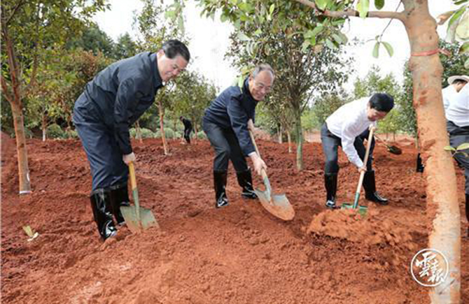 1593527121142518.jpeg 1.jpeg