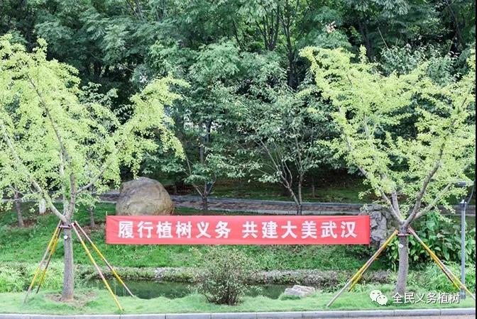 1601016751108564.jpg 微信图片_20200925144451.jpg