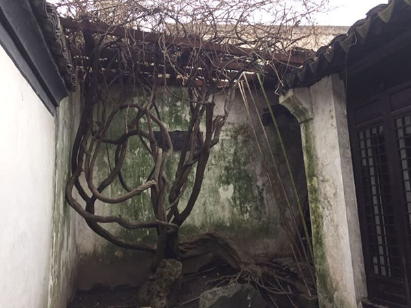 1604387690445243.jpg 35.jpg