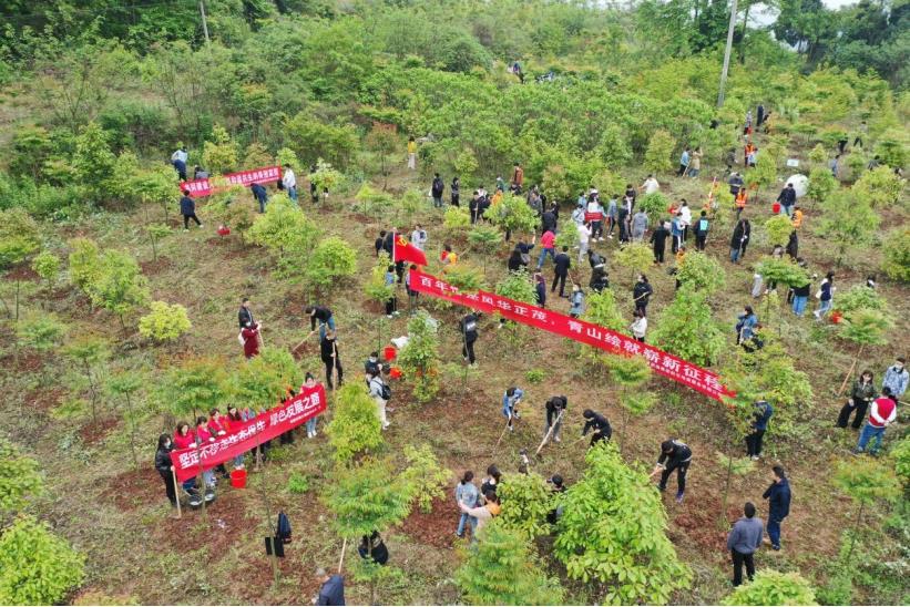 1620278865194294.jpg 1620278865194294.jpg