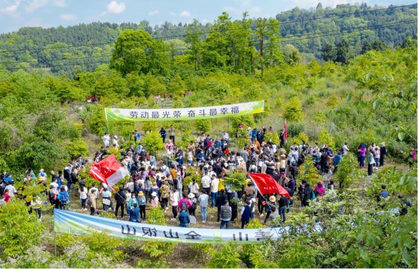 1620278865573047.jpg 1620278865573047.jpg