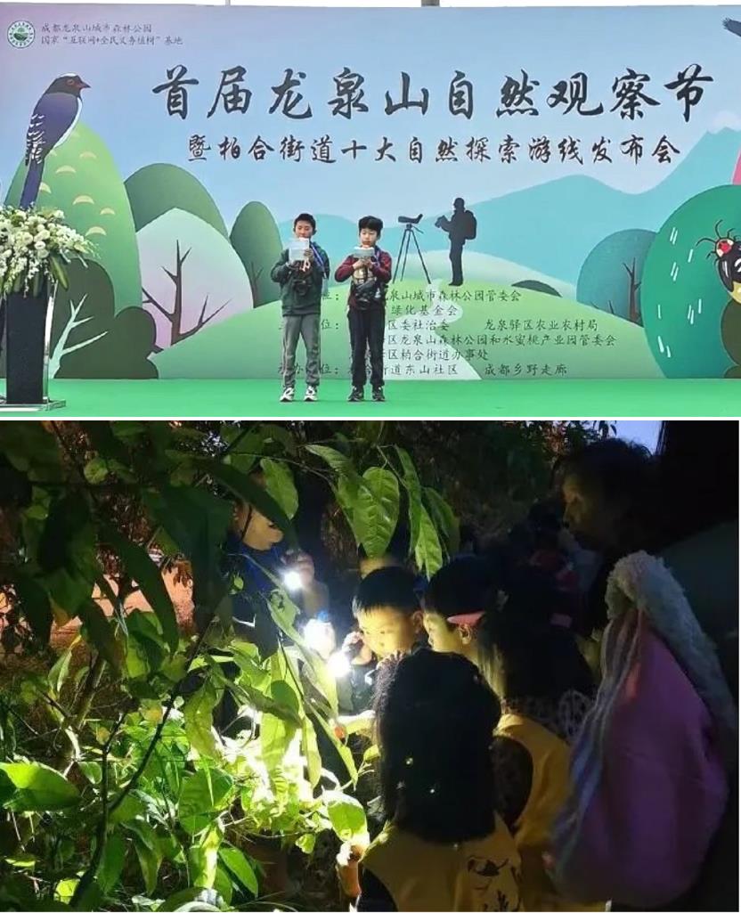 1620278865659213.jpg 1620278865659213.jpg