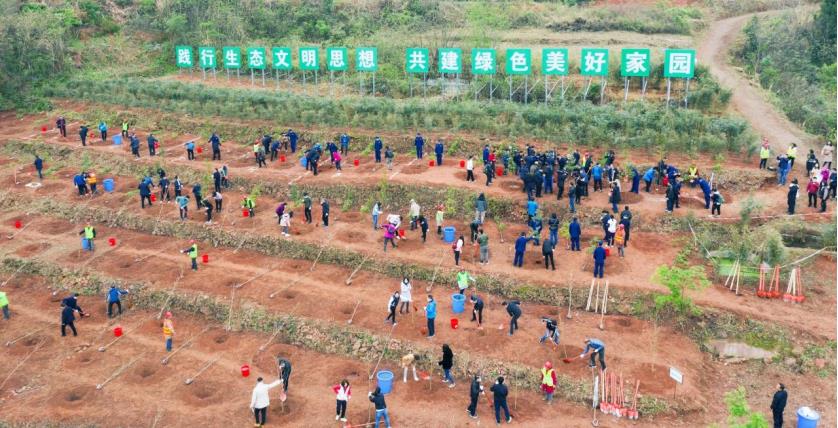 1620278865720032.jpg 1620278865720032.jpg