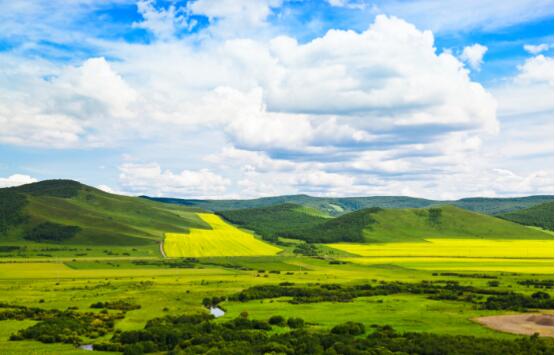 1630574957198074.jpg 1630574957198074.jpg