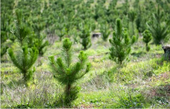 1630574957212661.jpg 1630574957212661.jpg