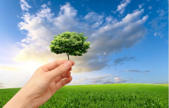 1630574957332895.jpg 1630574957332895.jpg