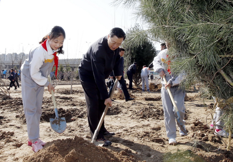 这是张德江在植树。新华社记者 鞠鹏 摄