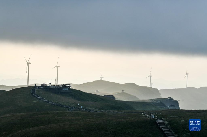 1638323276623992.png 101.png