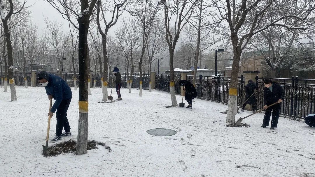 1647919988273592.jpg 1647919988273592.jpg