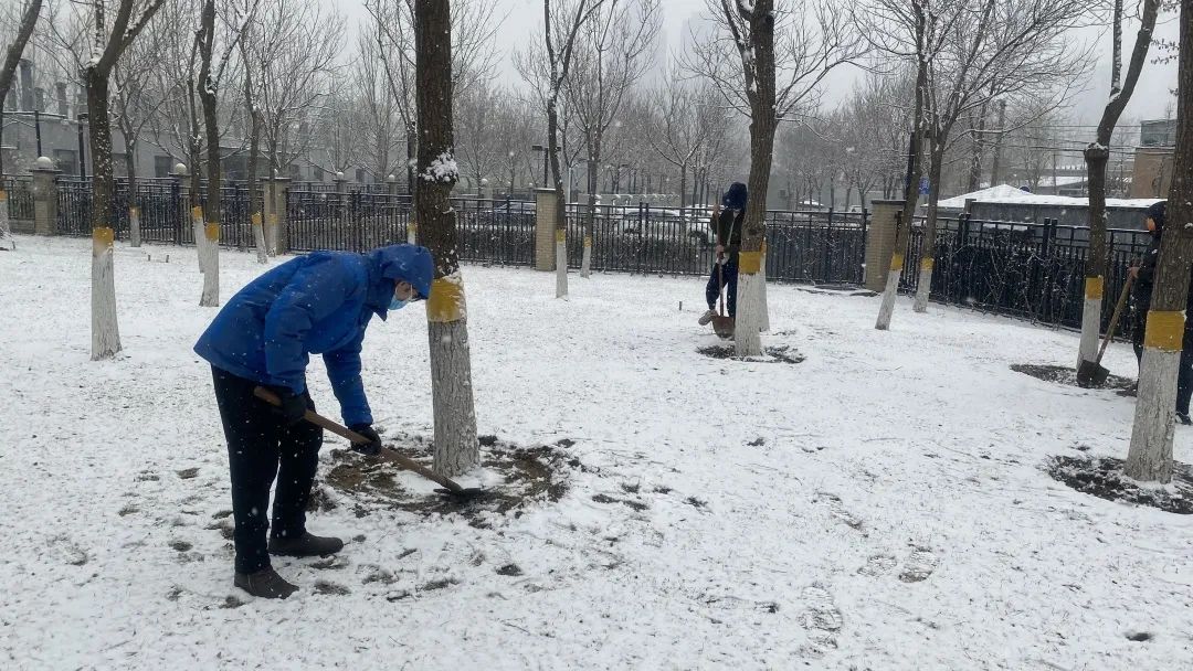 1647919988780459.jpg 1647919988780459.jpg