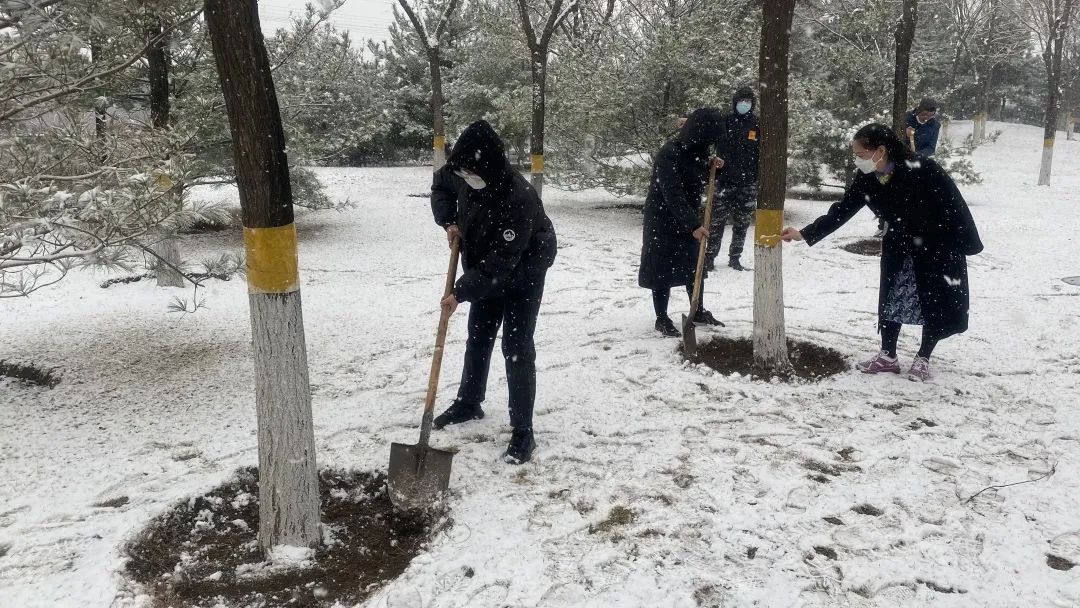 1647920021298076.jpg 1647920021298076.jpg