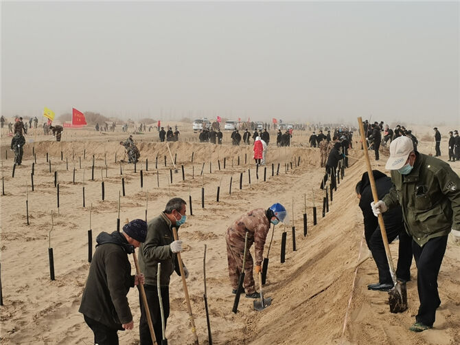 1649657729626094.jpg 103.jpg