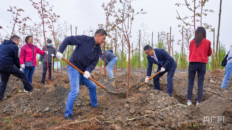 1651216513208444.png 图片6.png