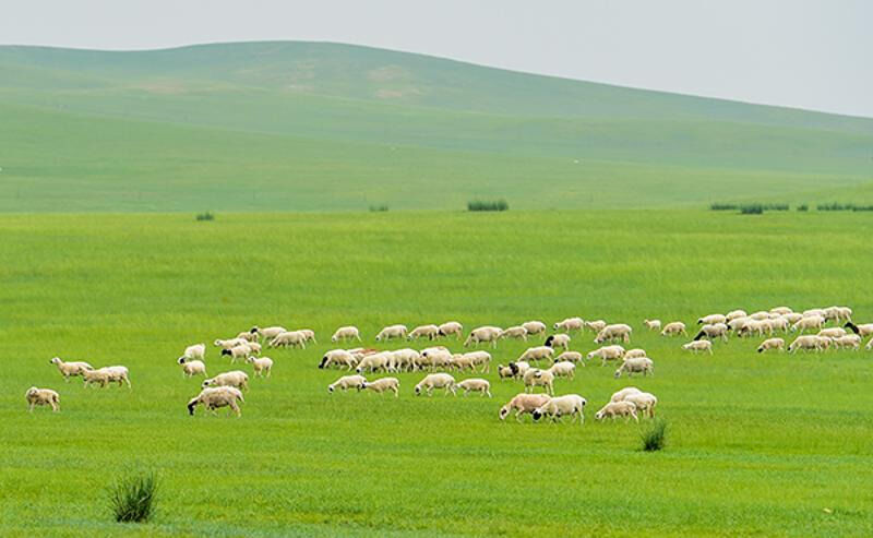 1655886229937548.png 图片9.png