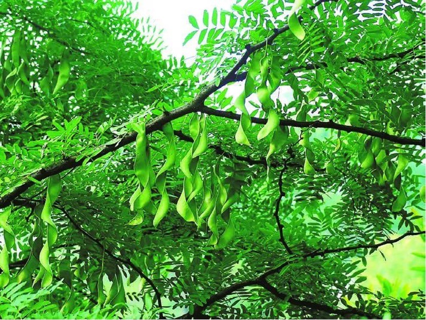 1658411088502906.jpg 图片 24.jpg