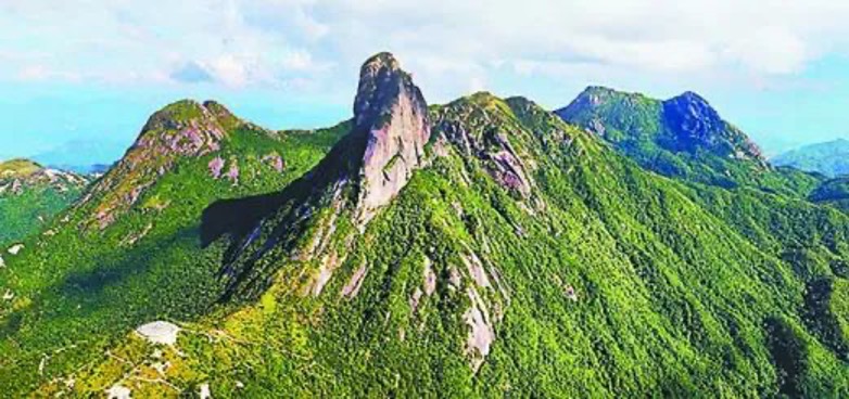 1658411126554814.jpg 图片 26.jpg