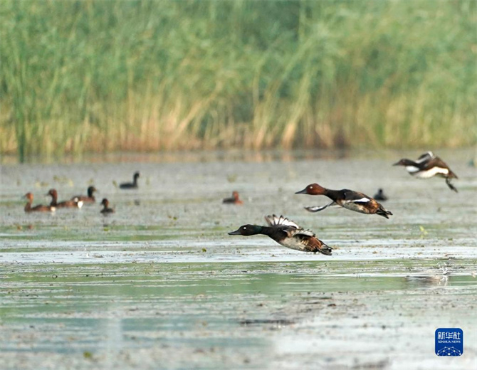 1663230096633963.jpg 2.jpg