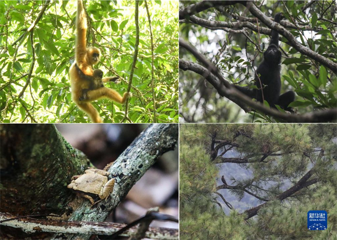 1663230613689467.jpg 8.jpg