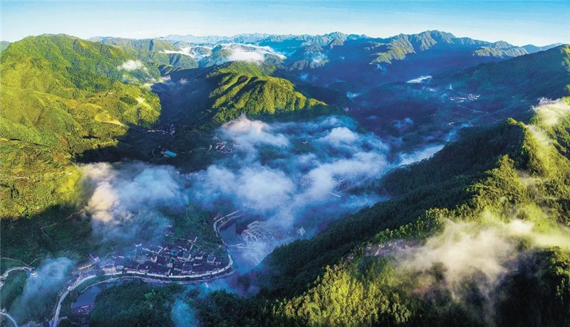 1664593506922692.jpg 105.jpg