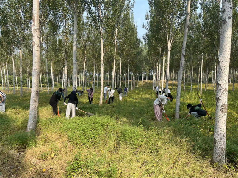 1664593857469965.jpg 107.jpg