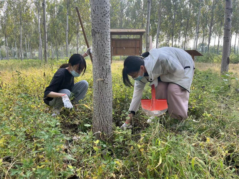 1664593880532390.jpg 106.jpg