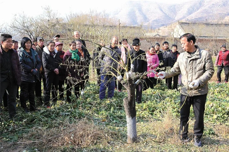 1665731517126270.jpg 201.jpg