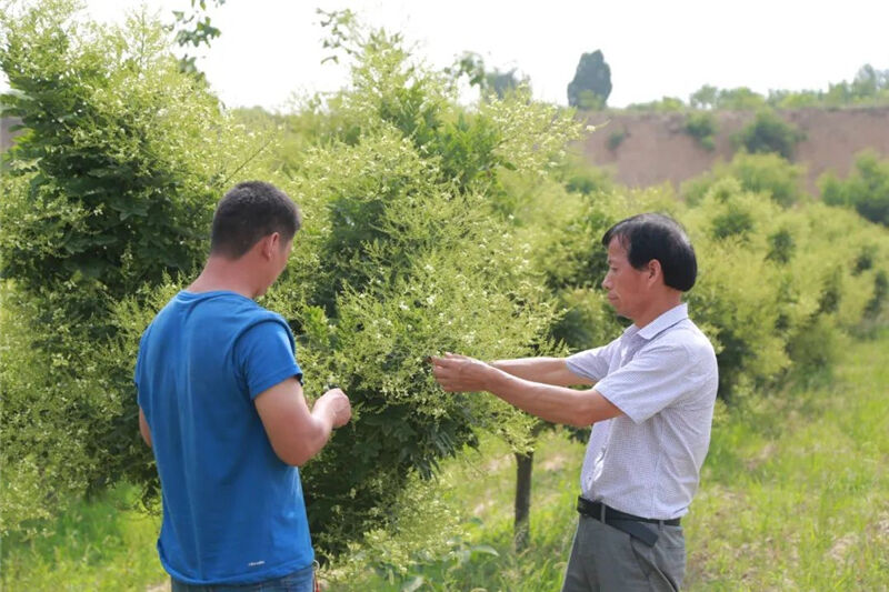 1665731566257045.jpg 202.jpg