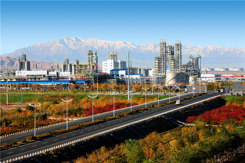 1666347445931613.jpg 101.jpg