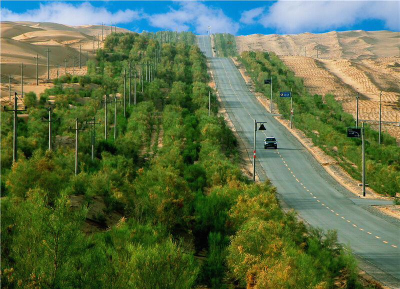 1666347563110844.jpg 104.jpg