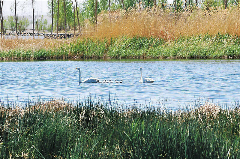 1666347642464859.jpg 105.jpg