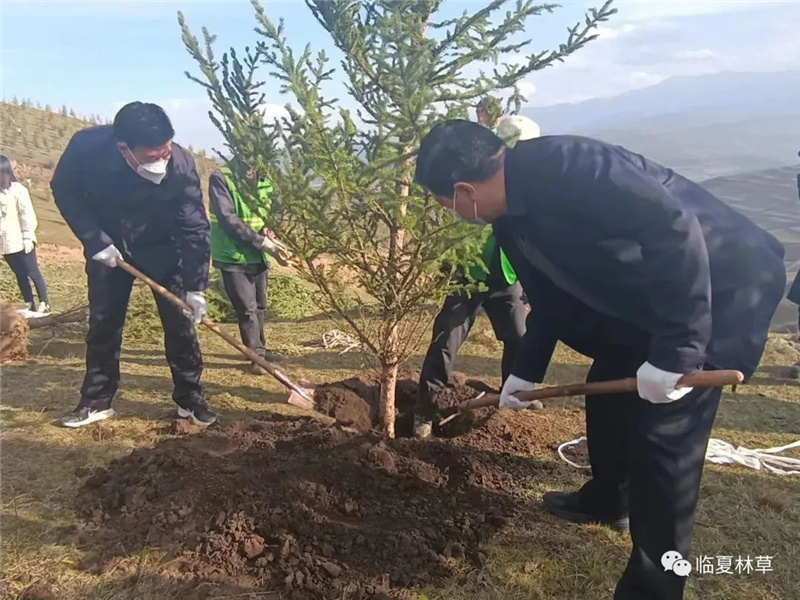 1666943225184329.jpg 101.jpg