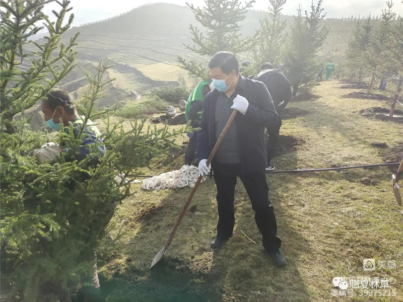 1666943254375674.jpg 103.jpg