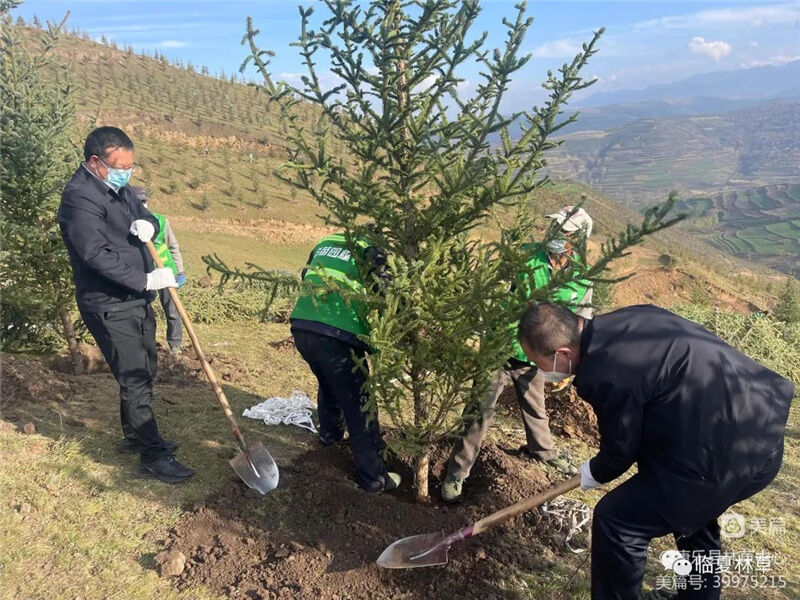 1666943264208033.jpg 104.jpg