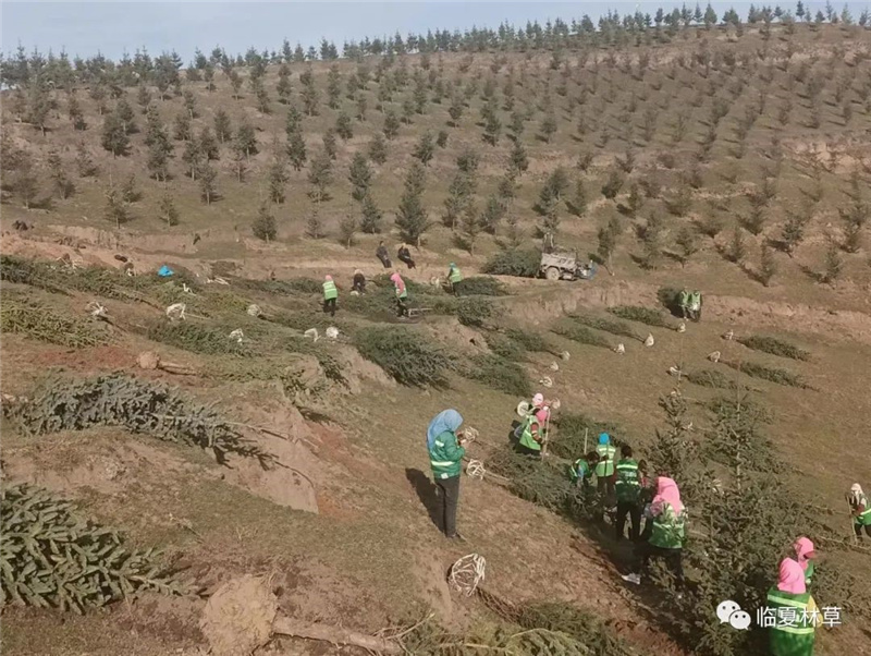 1666943272406105.jpg 105.jpg